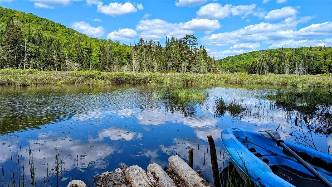 












Ch. du Lac-Pearl

,
Sainte-Agathe-des-Monts,







QC
J8C2Z7

