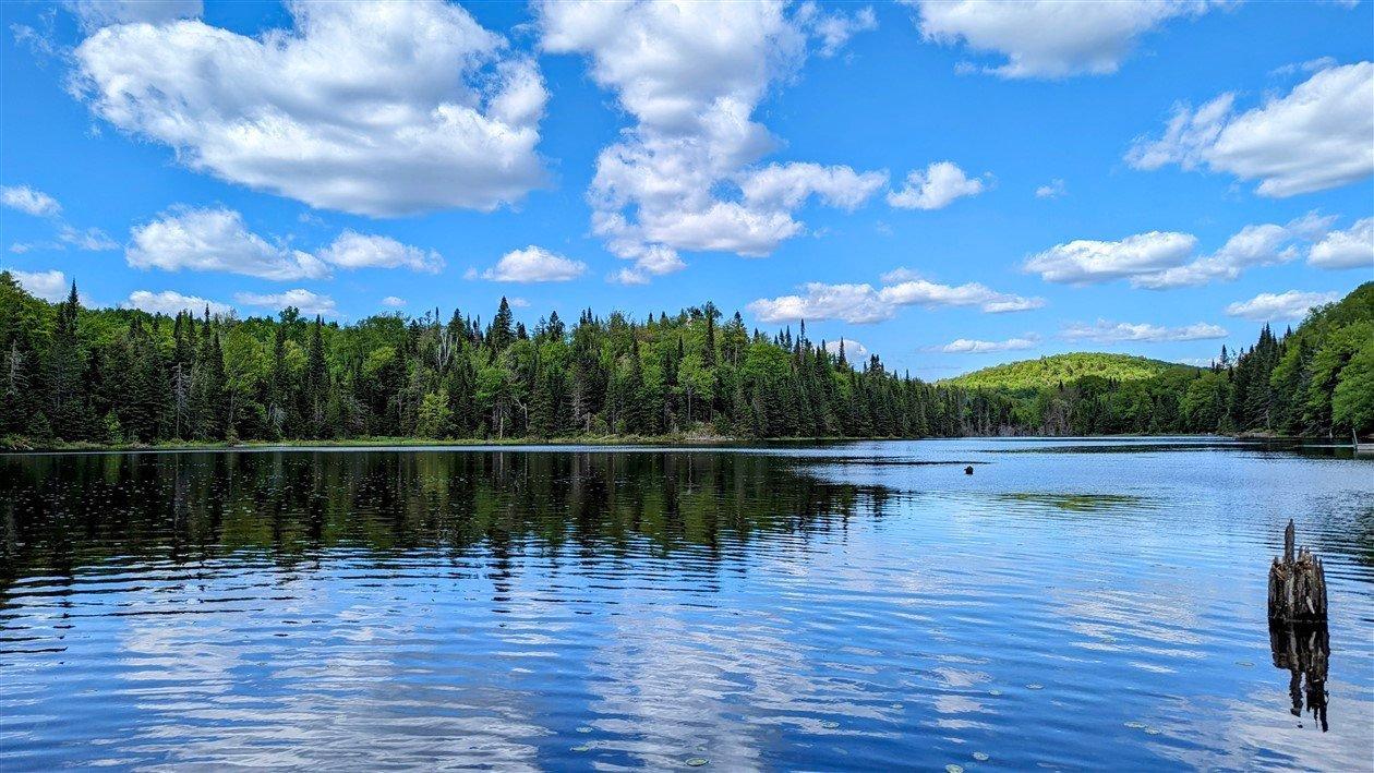 












Ch. du Lac-Pearl

,
Sainte-Agathe-des-Monts,







QC
J8C2Z7

