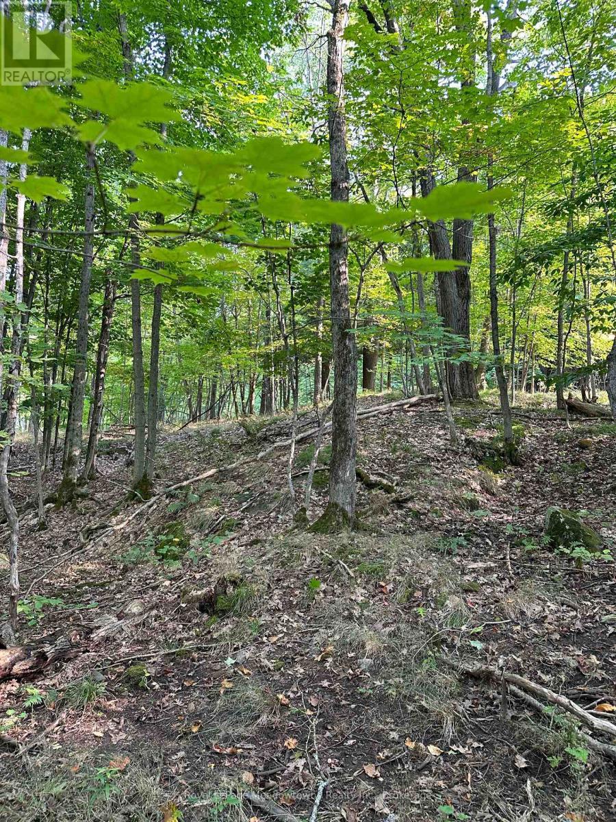 












1000 ISLAND PARK ROAD

,
Muskoka Lakes (Medora),







Ontario
P0B1J0

