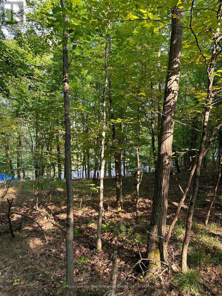 












1000 ISLAND PARK ROAD

,
Muskoka Lakes (Medora),







Ontario
P0B1J0

