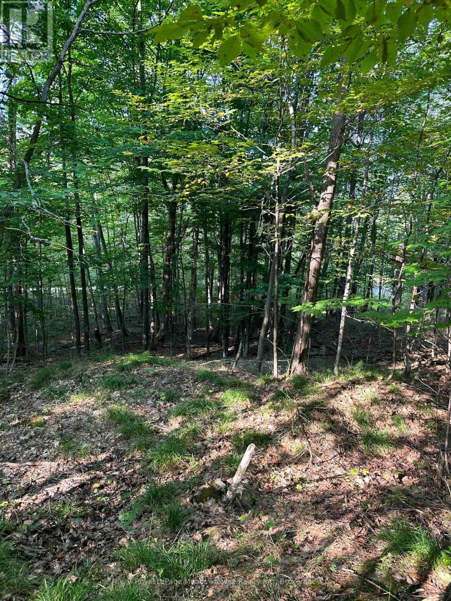 












1000 ISLAND PARK ROAD

,
Muskoka Lakes (Medora),







Ontario
P0B1J0

