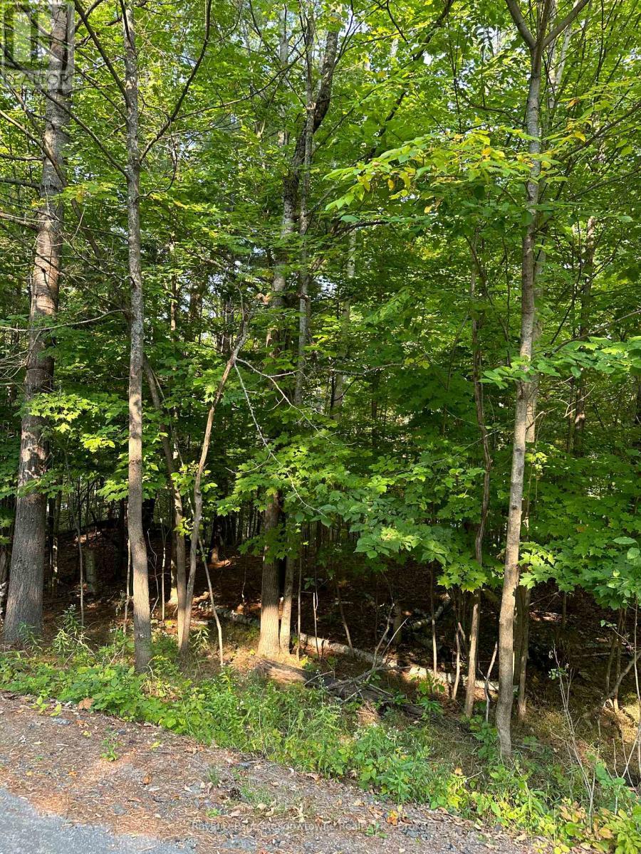 












1000 ISLAND PARK ROAD

,
Muskoka Lakes (Medora),







Ontario
P0B1J0

