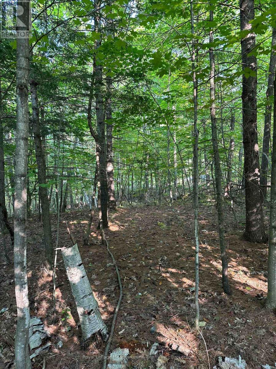 












1000 ISLAND PARK ROAD

,
Muskoka Lakes (Medora),







Ontario
P0B1J0

