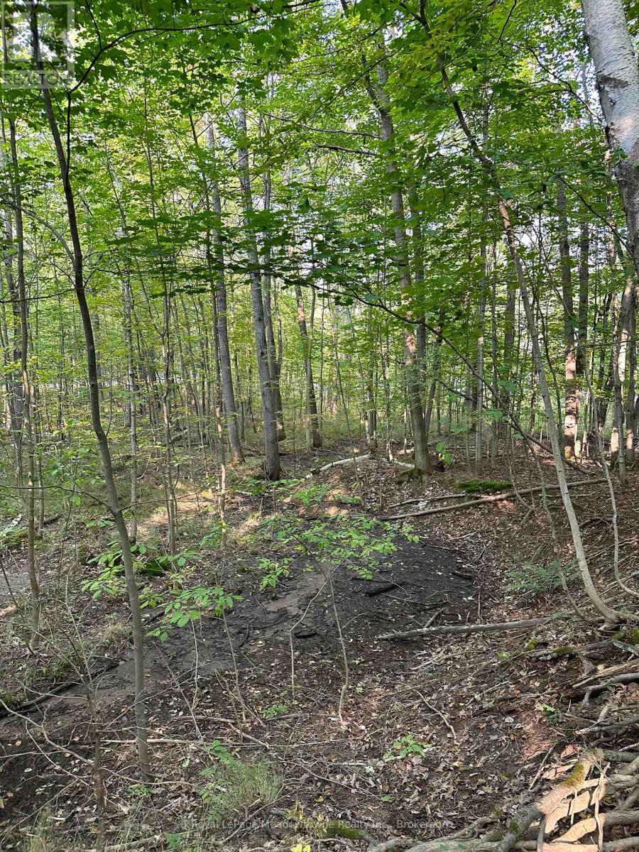 












1000 ISLAND PARK ROAD

,
Muskoka Lakes (Medora),







Ontario
P0B1J0

