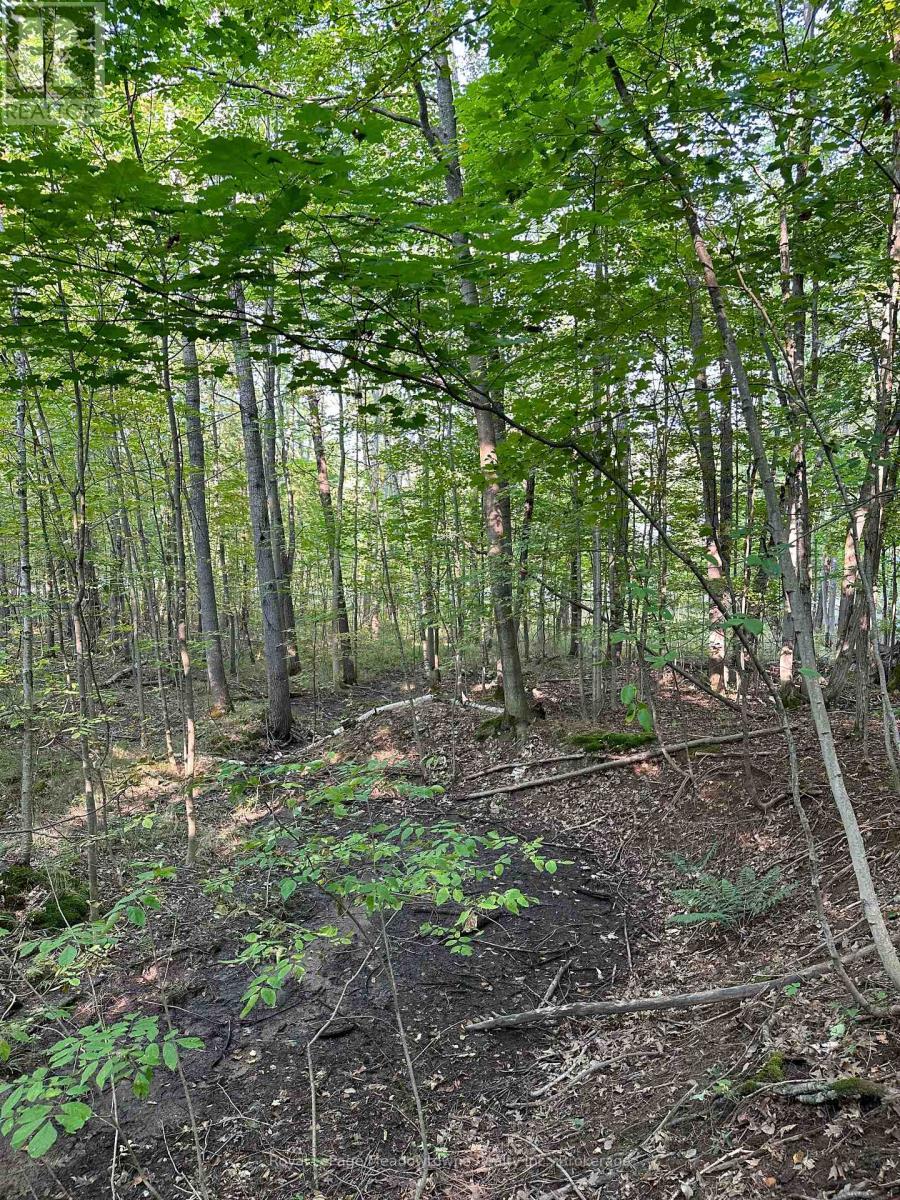 












1000 ISLAND PARK ROAD

,
Muskoka Lakes (Medora),







Ontario
P0B1J0

