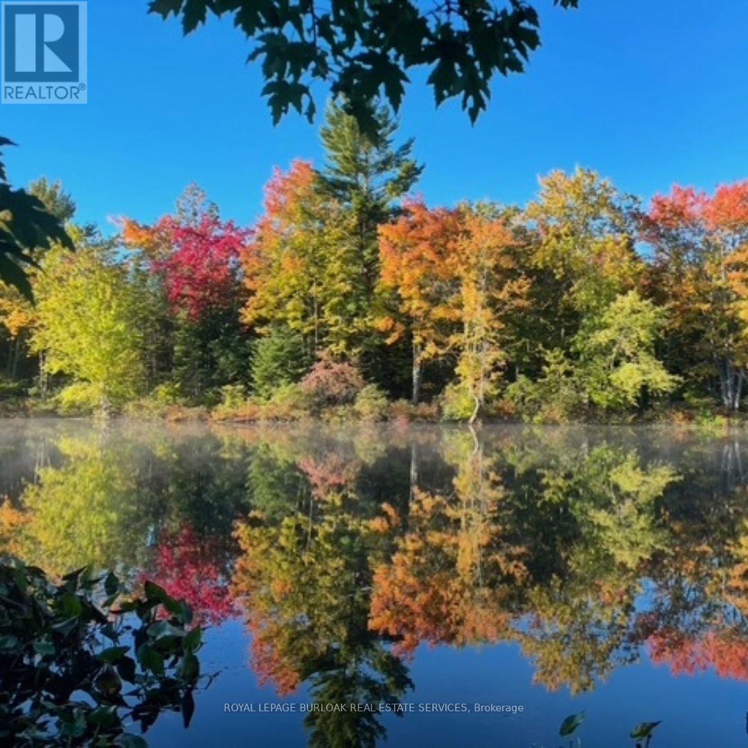 












629 BOWEN ROAD

,
Havelock-Belmont-Methuen,







Ontario
K0L1Z0

