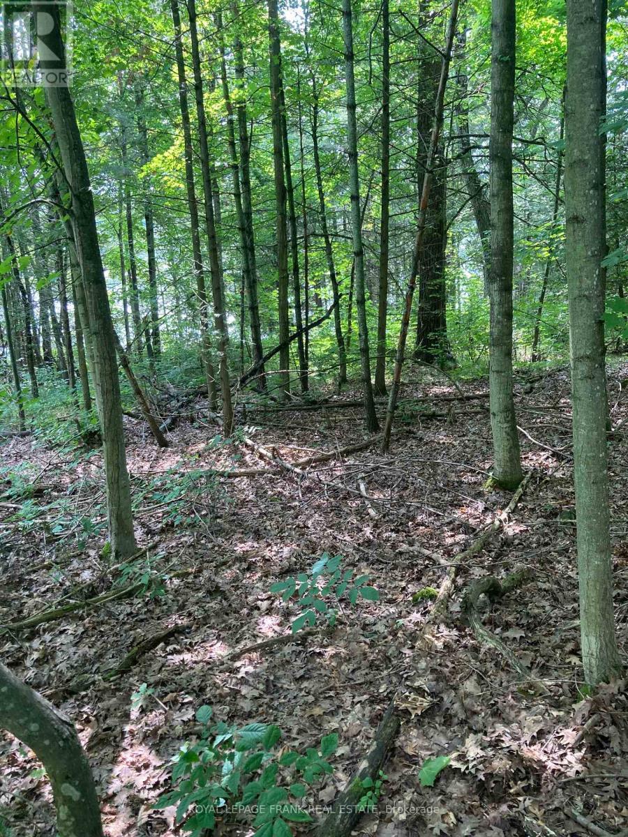 












3 WHITES ISLAND

,
Alnwick/Haldimand,







Ontario
K0K2X0

