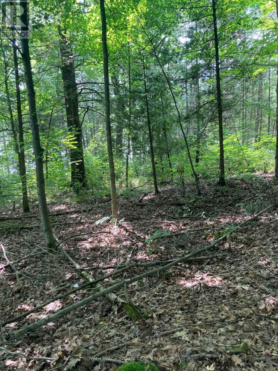 












3 WHITES ISLAND

,
Alnwick/Haldimand,







Ontario
K0K2X0

