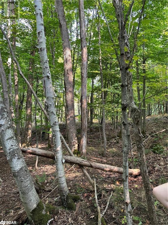 












1000 ISLAND PARK Road

,
Port Carling,







Ontario
P0B1J0

