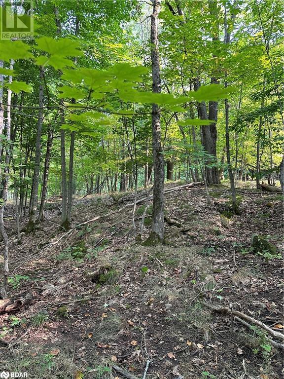












1000 ISLAND PARK Road

,
Port Carling,







Ontario
P0B1J0

