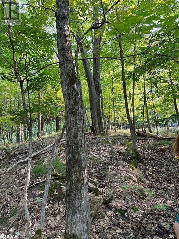 












1000 ISLAND PARK Road

,
Port Carling,







Ontario
P0B1J0

