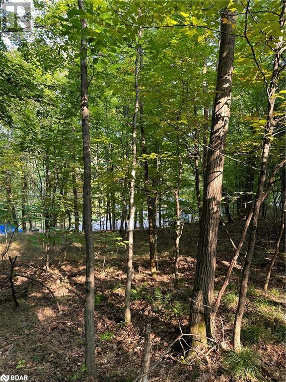 












1000 ISLAND PARK Road

,
Port Carling,







Ontario
P0B1J0

