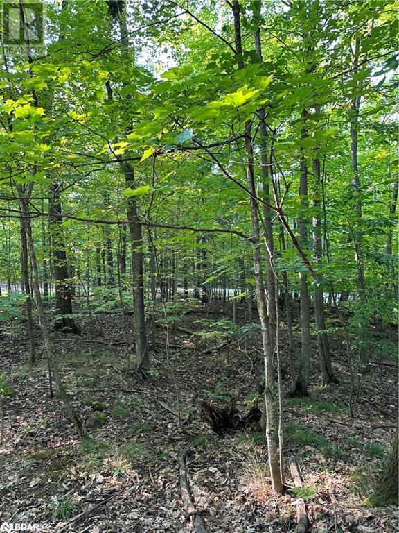 












1000 ISLAND PARK Road

,
Port Carling,







Ontario
P0B1J0


