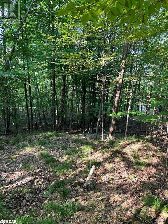 












1000 ISLAND PARK Road

,
Port Carling,







Ontario
P0B1J0

