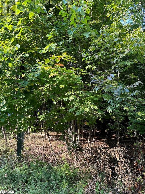 












1000 ISLAND PARK Road

,
Port Carling,







Ontario
P0B1J0

