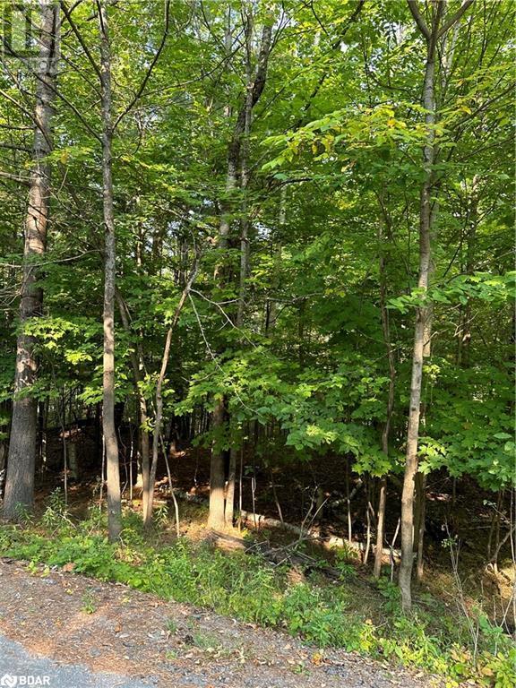 












1000 ISLAND PARK Road

,
Port Carling,







Ontario
P0B1J0

