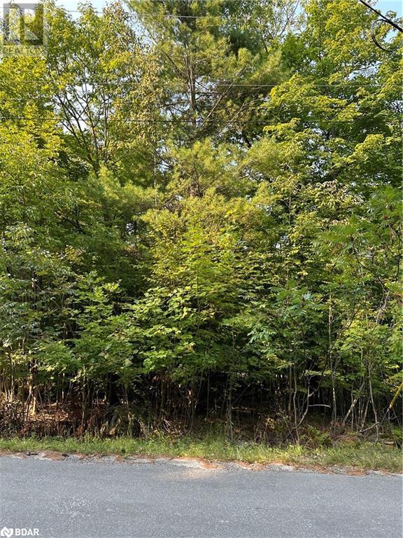 












1000 ISLAND PARK Road

,
Port Carling,







Ontario
P0B1J0

