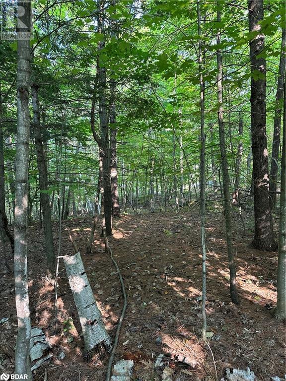 












1000 ISLAND PARK Road

,
Port Carling,







Ontario
P0B1J0

