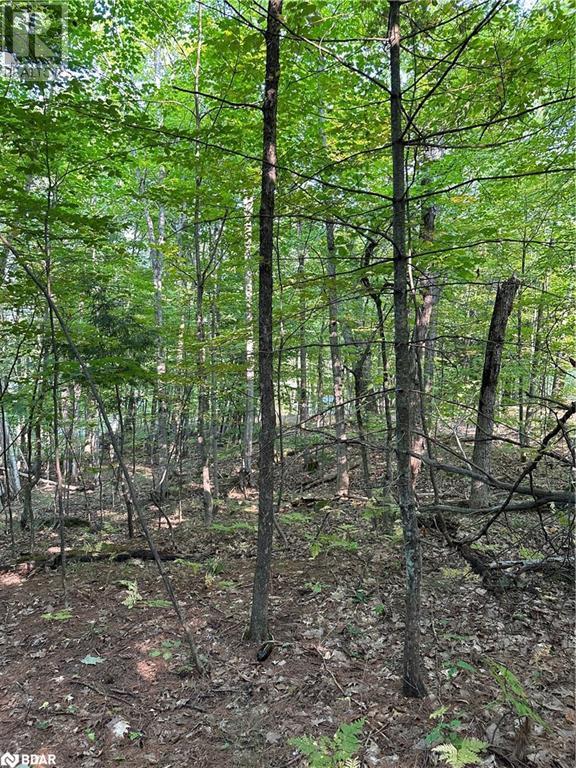 












1000 ISLAND PARK Road

,
Port Carling,







Ontario
P0B1J0

