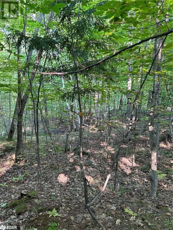 












1000 ISLAND PARK Road

,
Port Carling,







Ontario
P0B1J0


