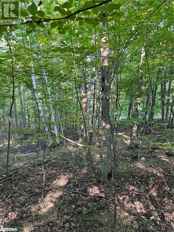 












1000 ISLAND PARK Road

,
Port Carling,







Ontario
P0B1J0

