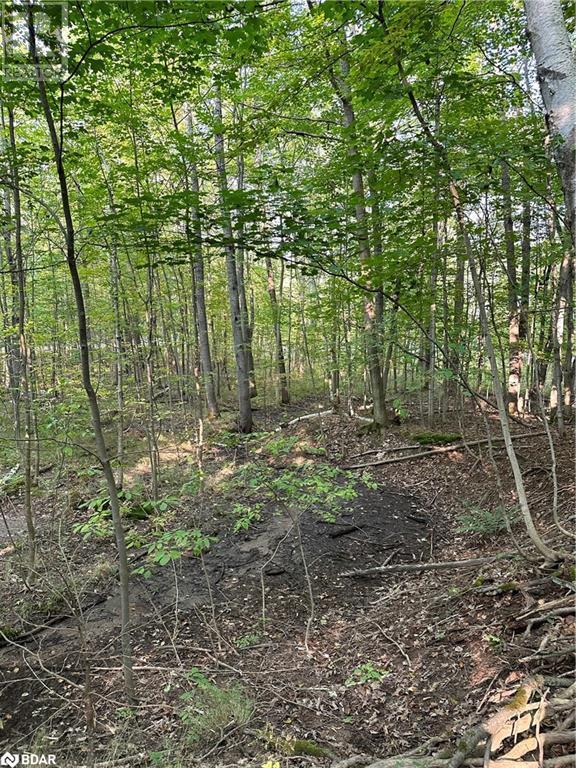 












1000 ISLAND PARK Road

,
Port Carling,







Ontario
P0B1J0

