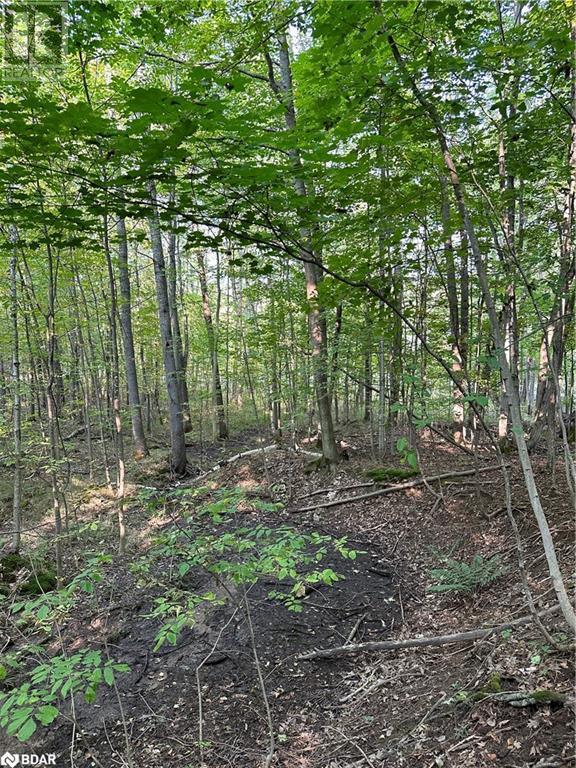 












1000 ISLAND PARK Road

,
Port Carling,







Ontario
P0B1J0

