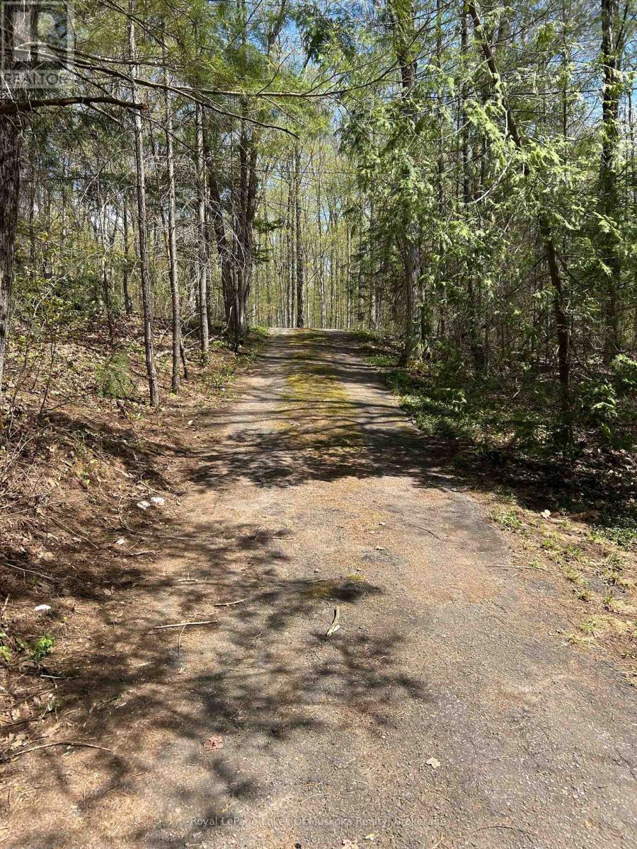 












1091 NORTH TOOKE LAKE ROAD

,
Lake of Bays (Mclean),




Ontario
P0B1A0

