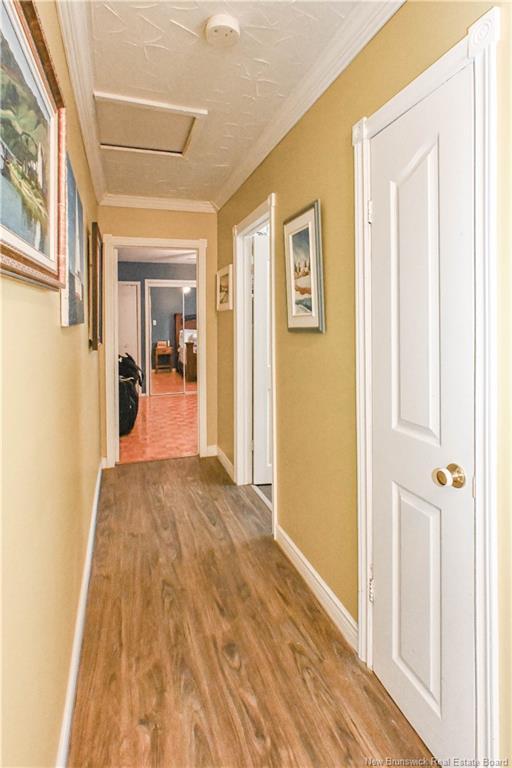 









4


Jadi

LANE,
Chiasson Office,




NB
E8S 2S6

