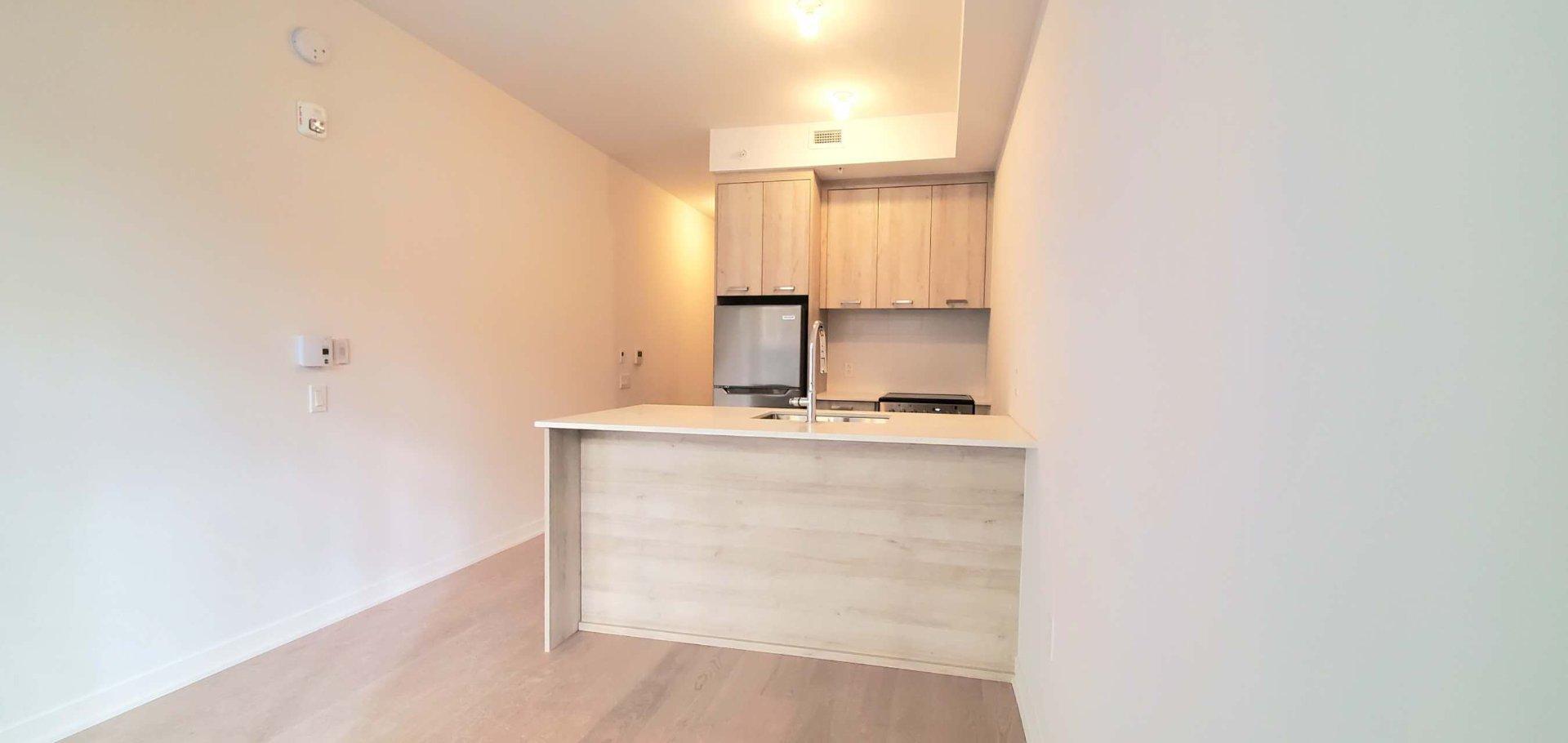 









1485


Rue des Bassins

, 203,
Montréal (Le Sud-Ouest),




QC
H3C1B7


