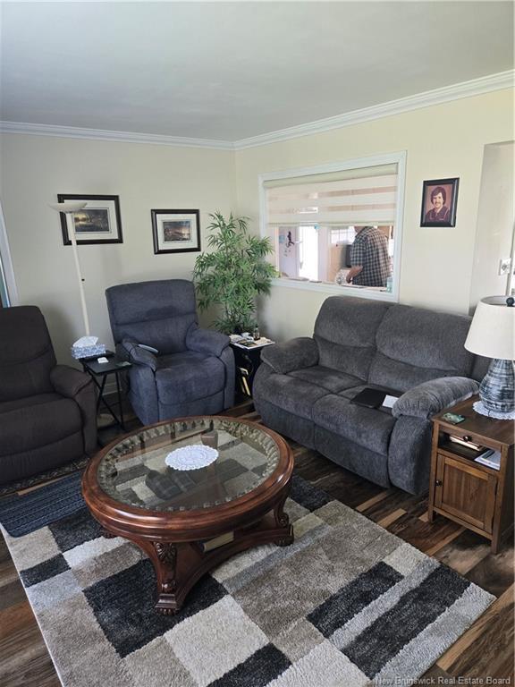 









530


Old King George Highway

,
Miramichi,




NB
E1V 1J7

