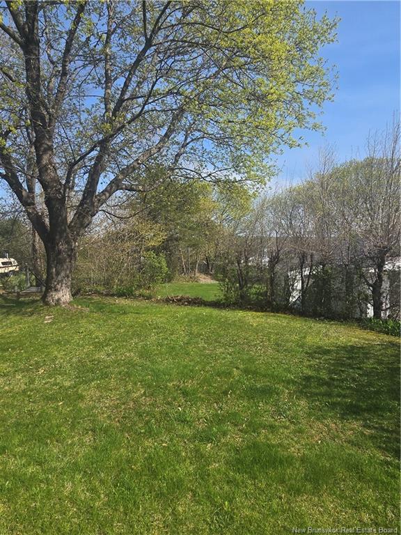 









530


Old King George Highway

,
Miramichi,




NB
E1V 1J7

