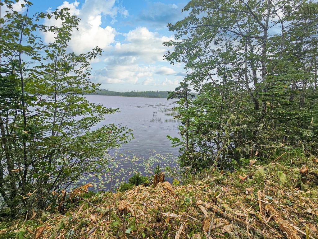 












Lot 6 Dark Pond Lane

,
West Petpeswick,







NS
B0J 2L0

