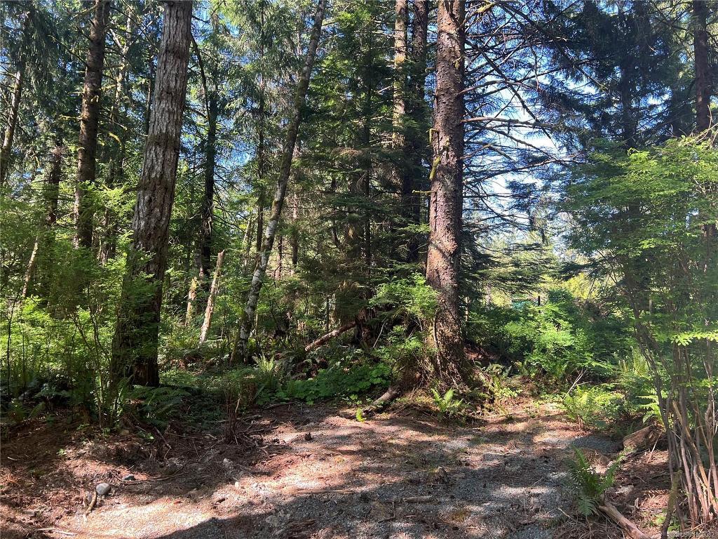 









429


Spruce

Pl,
Quadra Island,







BC
V0P 1N0


