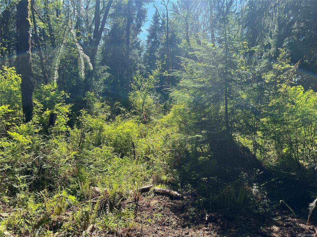 









429


Spruce

Pl,
Quadra Island,







BC
V0P 1N0

