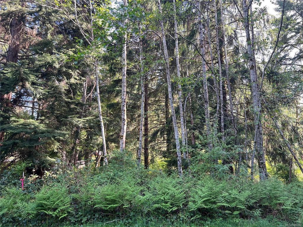 









429


Spruce

Pl,
Quadra Island,







BC
V0P 1N0


