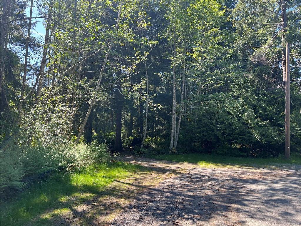 









429


Spruce

Pl,
Quadra Island,







BC
V0P 1N0

