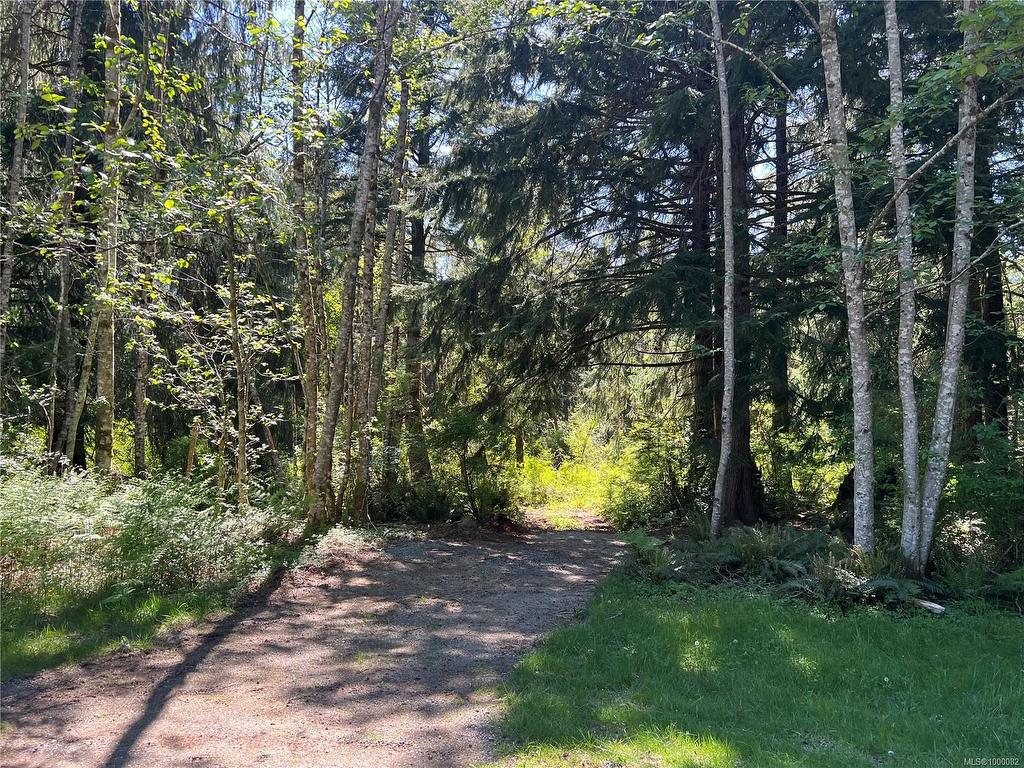 









429


Spruce

Pl,
Quadra Island,







BC
V0P 1N0

