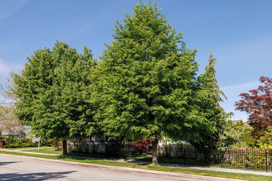 









5296


Allenby

Lane,
Kelowna,




BC
V1W 4T8

