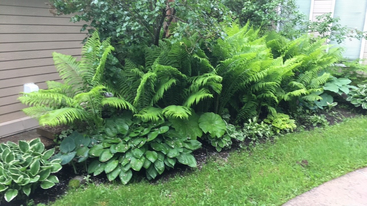 









8829


Route 117 S.

,
Rivière-Rouge,




QC
J0T1T0

