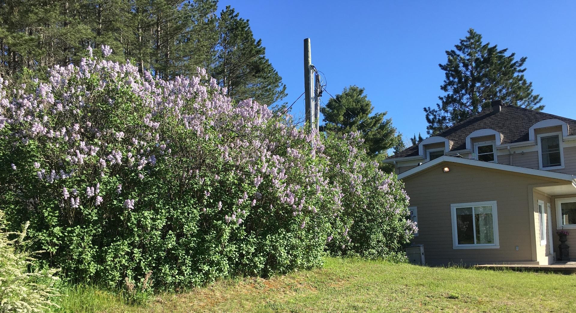 









8829


Route 117 S.

,
Rivière-Rouge,




QC
J0T1T0

