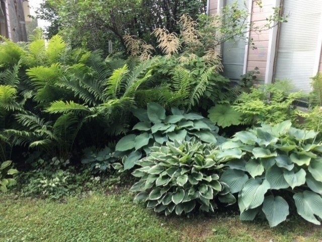 









8829


Route 117 S.

,
Rivière-Rouge,




QC
J0T1T0

