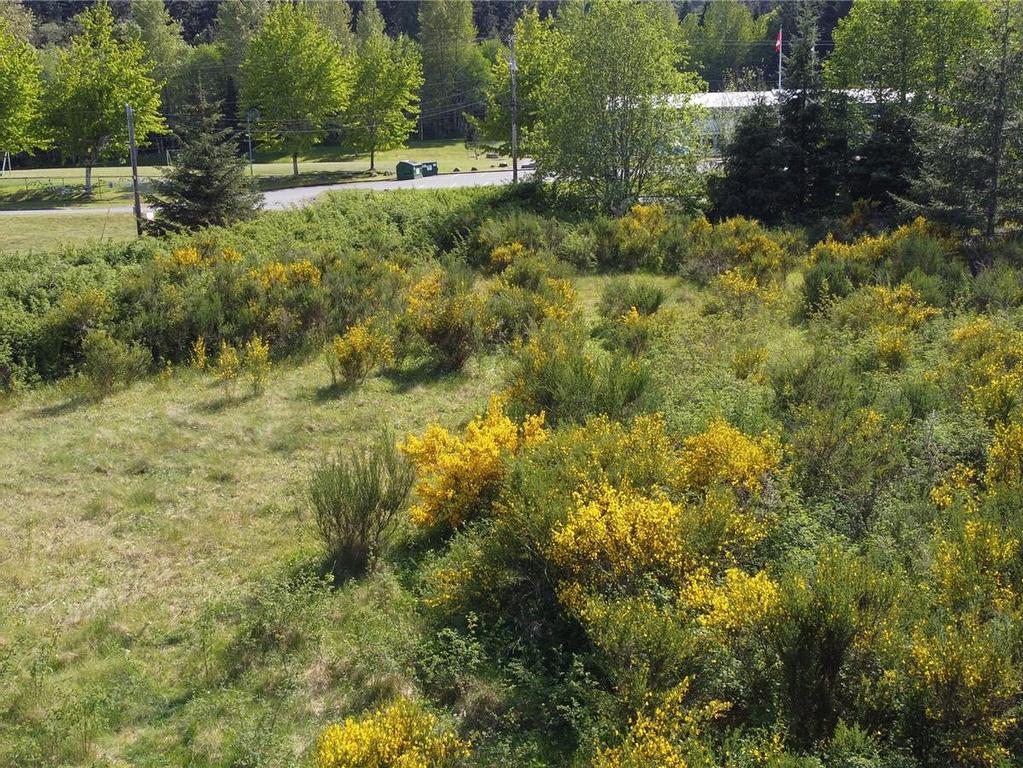 









691


Kelsey

Way,
Sayward,







BC
V0P 1R0

