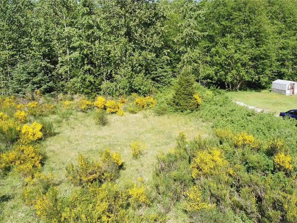 









691


Kelsey

Way,
Sayward,







BC
V0P 1R0

