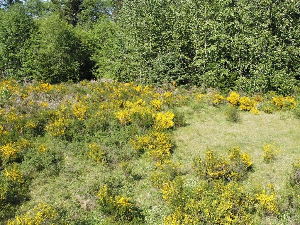 









691


Kelsey

Way,
Sayward,







BC
V0P 1R0

