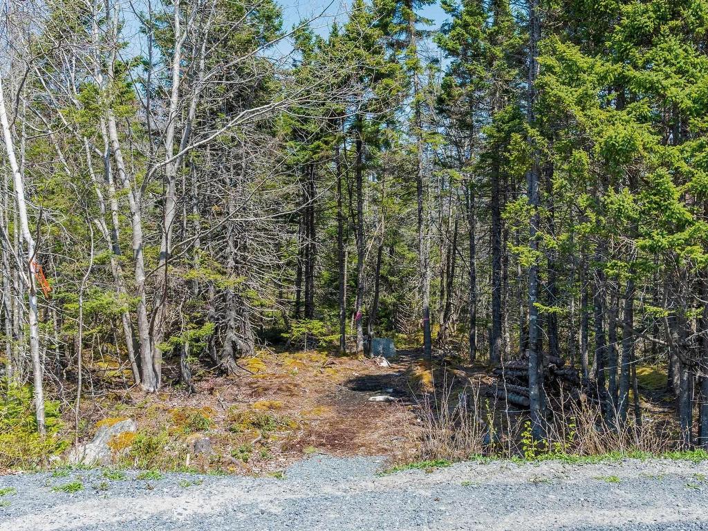 












Scott's Point Road

,
East Dover,







NS
B3Z 3W2


