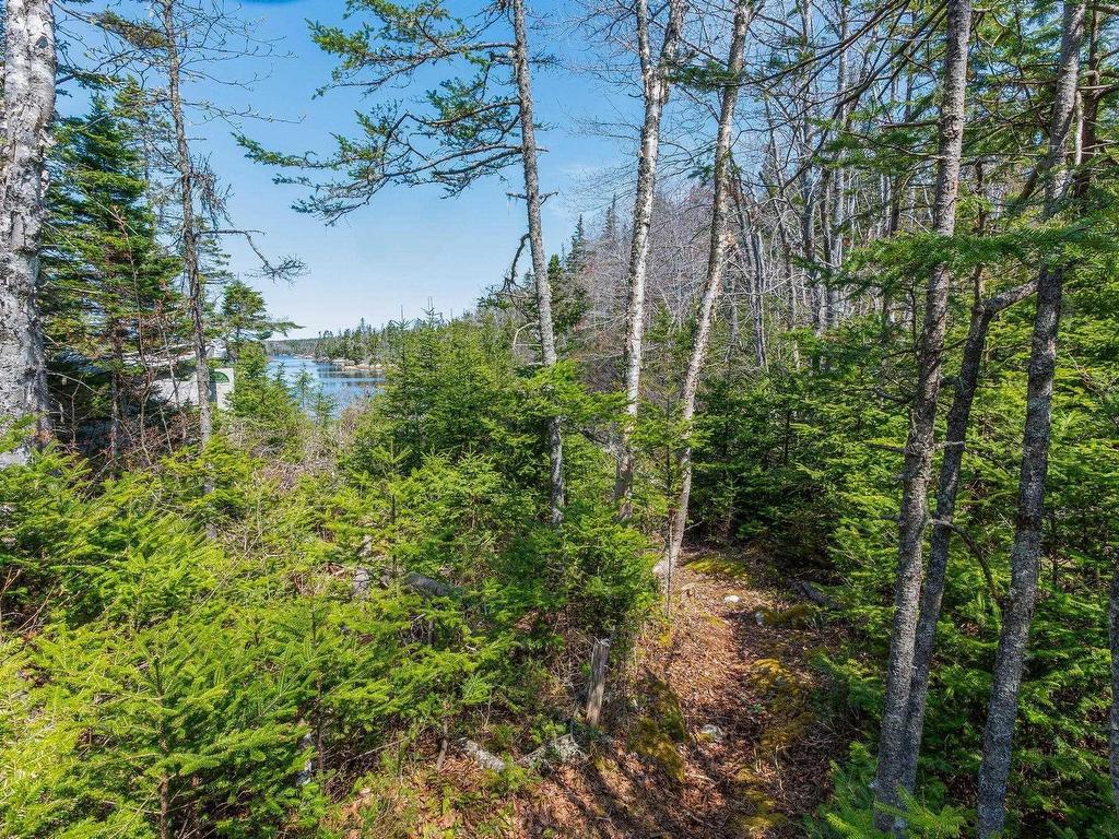 












Scott's Point Road

,
East Dover,







NS
B3Z 3W2

