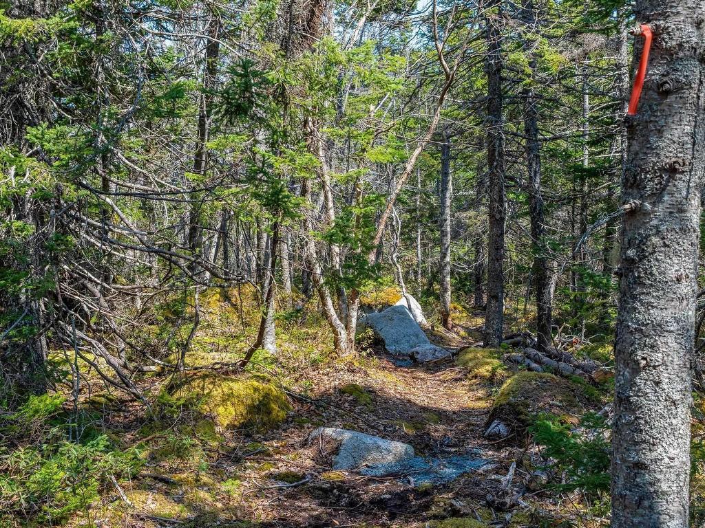 












Scott's Point Road

,
East Dover,







NS
B3Z 3W2

