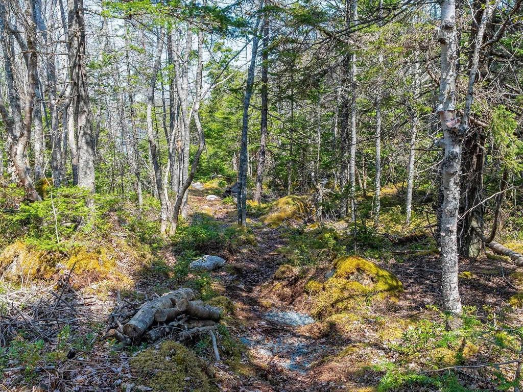 












Scott's Point Road

,
East Dover,







NS
B3Z 3W2

