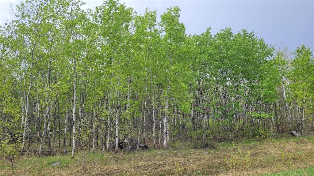 












0 43E Road

,
Richer,







Manitoba
R0E1S0

